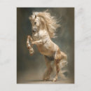 Recherche de chevaux de palomino cartes postales Toute personne