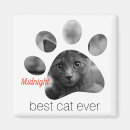 Recherche de empreinte de patte magnets Chat