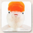 Recherche de poisson rouge dessous de verres Animaux