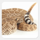 Recherche de serpent venimeux autocollants Faune