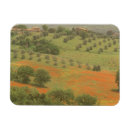Recherche de mont magnets Europe