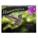 Recherche de colibris calendriers Oiseaux