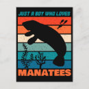 Recherche de lamantin cartes postales Vache de mer