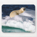 Recherche de iceberg tapis souris Arctique