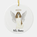 Recherche de springer spaniel Blanc