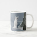 Recherche de belettes tasses Mignon