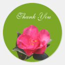 Recherche de camelia autocollants Rose