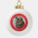 Recherche de le chaton ornements Mes premiers noël