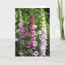 Recherche de sensible vœux cartes Assez