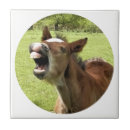 Recherche de poulain carreaux Mignon