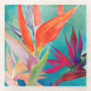Recherche de paradis dessous de verres Fleurs tropicales