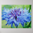 Recherche de floral bleu art Jardin
