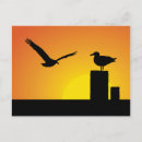 Recherche de mouette cartes postales Saisonnier