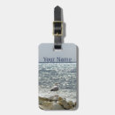 Recherche de littoral accessoires Oiseau