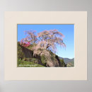 Recherche de paysages japonais posters Sakura
