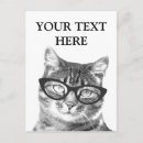 Recherche de photo drôle de chat cartes postales Mignon