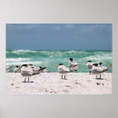 Recherche de siesta posters Tropical