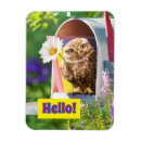 Recherche de owl magnets Animal