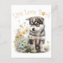 Recherche de malamute cartes postales Chiot