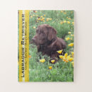 Recherche de brun chocolat puzzles Labrador