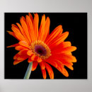 Recherche de étroitement posters Floral