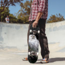 Recherche de majestueux skateboards Oiseau de proie