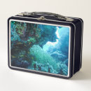 Recherche de pois aliments conservation Mer