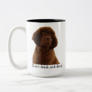 Recherche de chiot de terre neuve tasses Chien