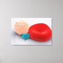 Recherche de plaquettes posters Hématologie