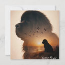 Recherche de terre neuve invitations Chiot
