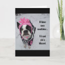 Recherche de bostonterrier Mignon