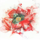 Recherche de belles couleurs autocollants Élégant