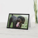 Recherche de petit neveu vœux cartes Nièce