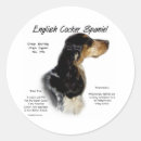 Recherche de cocker autocollants Spaniel de cocker anglais