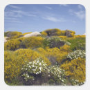 Recherche de sardaigne autocollants Personne