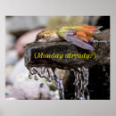 Recherche de colibri posters Ornithologie