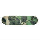 Recherche de feuille skateboards Botanique