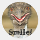 Recherche de emus autocollants Drôle