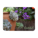 Recherche de succulents magnets Pour elle