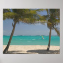 Recherche de planche à voile posters Photographie