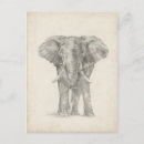 Recherche de éléphant cartes postales Dessin