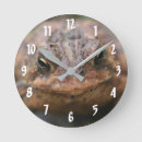 Recherche de crapaud horloges Nature