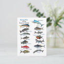 Recherche de jeu cartes postales Faune
