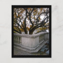 Recherche de aquarium cartes postales Jaune