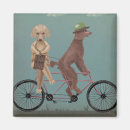 Recherche de tandem magnete Chiens à bicyclette