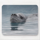 Recherche de nage tapis souris Nature