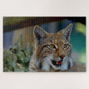 Recherche de lynx puzzles Nature