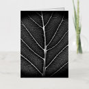 Recherche de veines vœux cartes Noir et blanc