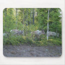 Recherche de rennes tapis souris Photographie