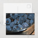 Recherche de figuier cartes postales Pour tous